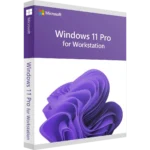 windows 11 Workstations license key