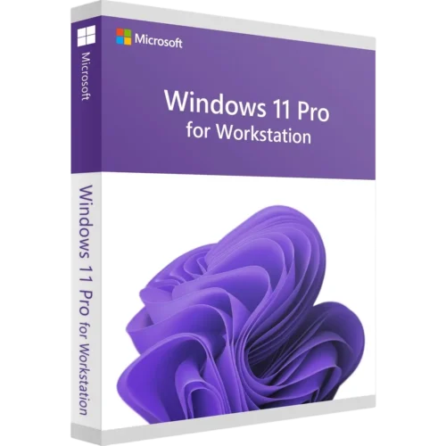 windows 11 Workstations license key