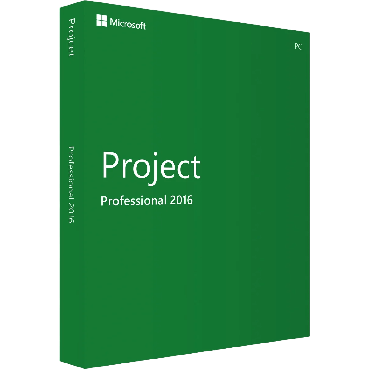 Microsoft Project Professional 2016